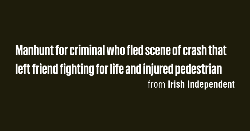 Manhunt for criminal who fled scene of crash that left friend fighting ...