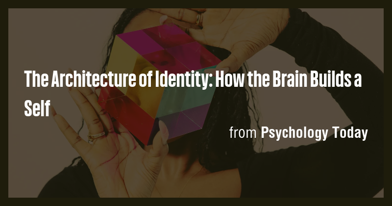 The Architecture of Identity: How the Brain Builds a Self - Briefly