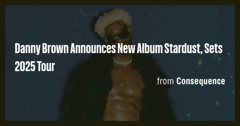Danny Brown Announces New Album Stardust, Sets 2025 Tour - Briefly