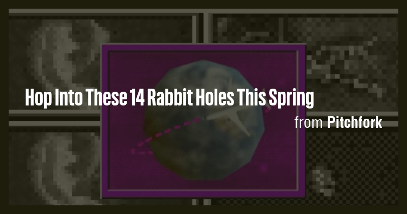 Hop Into These 14 Rabbit Holes This Spring - Briefly