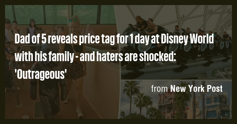 Dad of 5 reveals price tag for 1 day at Disney World with his family ...
