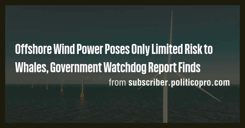 Offshore Wind Power Poses Only Limited Risk to Whales, Government ...