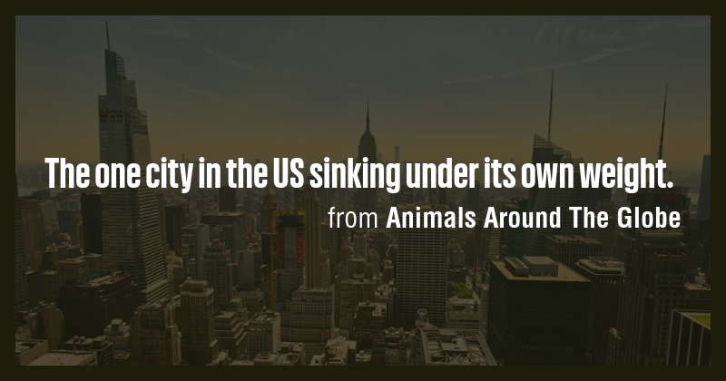 The one city in the US sinking under its own weight. - Briefly