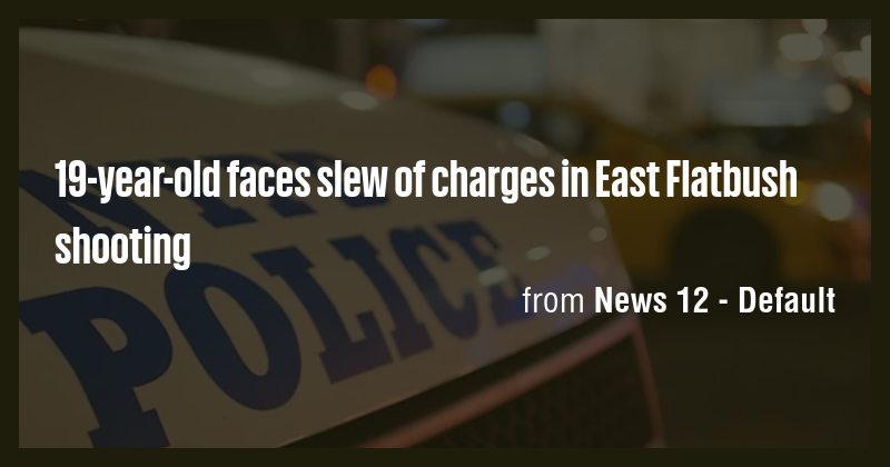 19-year-old faces slew of charges in East Flatbush shooting - Briefly