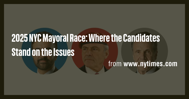 2025 NYC Mayoral Race: Where the Candidates Stand on the Issues - Briefly