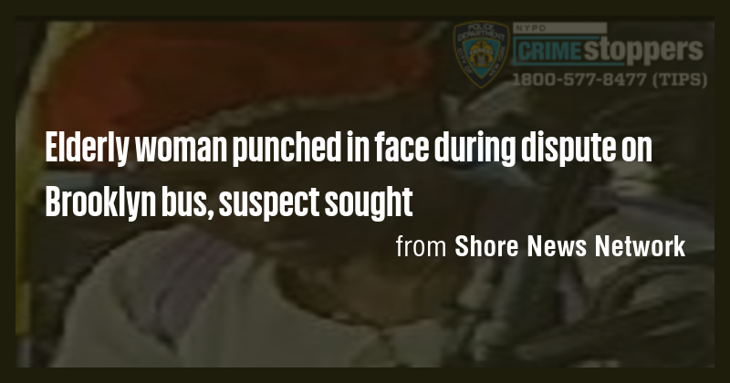 Elderly woman punched in face during dispute on Brooklyn bus, suspect ...
