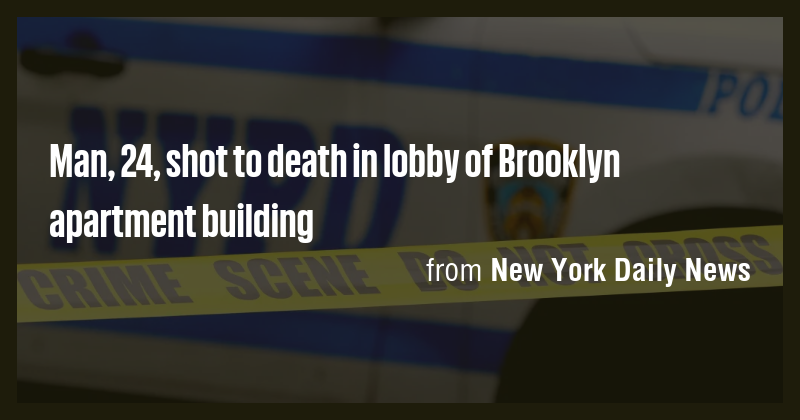 Man, 24, shot to death in lobby of Brooklyn apartment building - Briefly