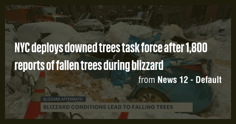 NYC deploys downed trees task force after 1,800 reports of fallen trees ...