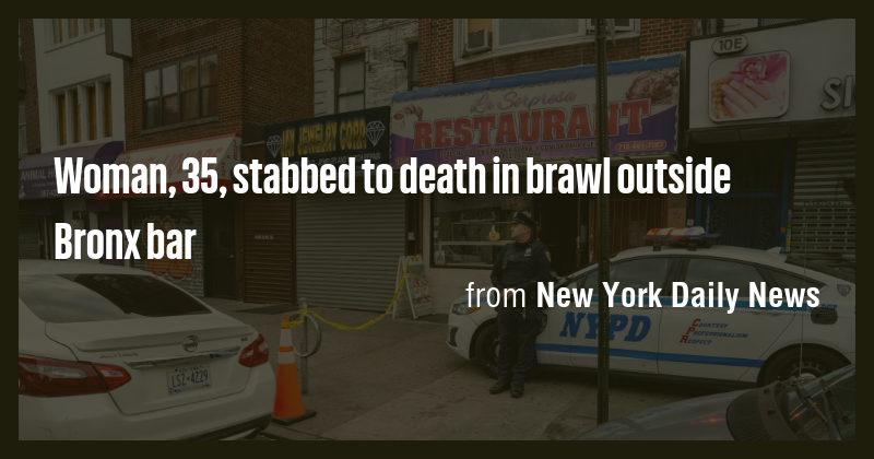 Woman, 35, stabbed to death in brawl outside Bronx bar - Briefly