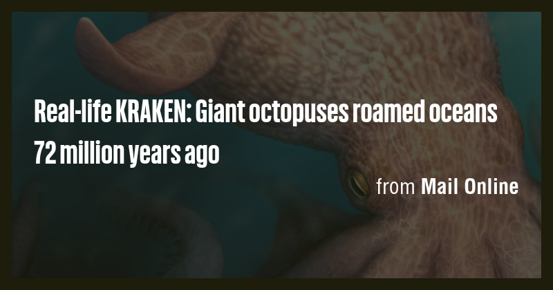 Real-life KRAKEN: Giant octopuses roamed oceans 72 million years ago ...