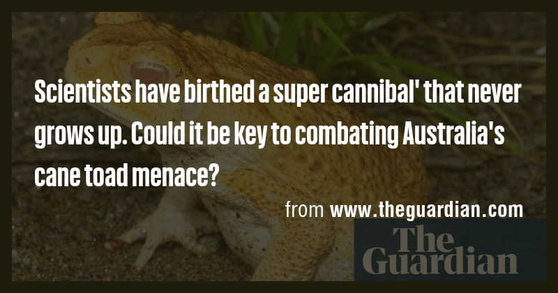 Scientists have birthed a super cannibal' that never grows up. Could it ...