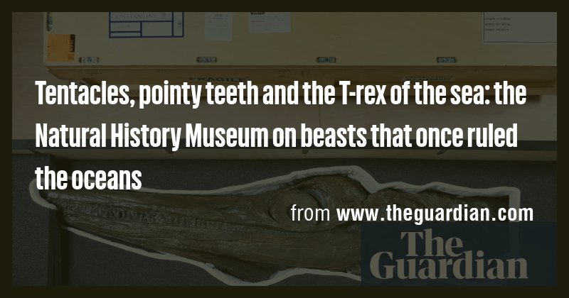 Tentacles, pointy teeth and the T-rex of the sea: the Natural History ...