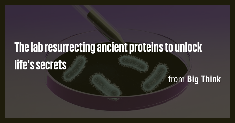 The lab resurrecting ancient proteins to unlock life's secrets - Briefly