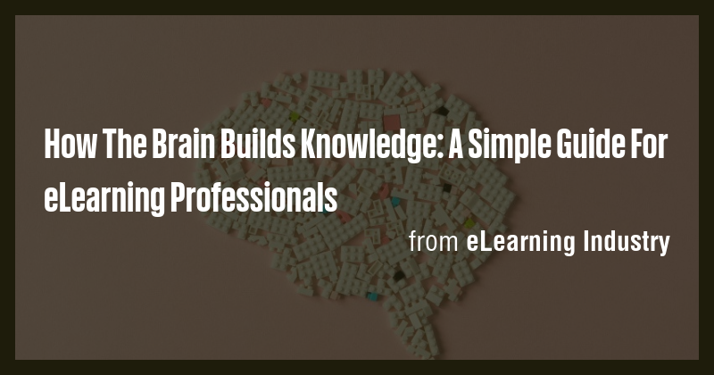 How The Brain Builds Knowledge: A Simple Guide For eLearning ...