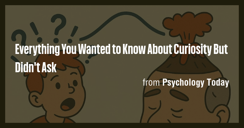 Everything You Wanted to Know About Curiosity But Didn't Ask - Briefly