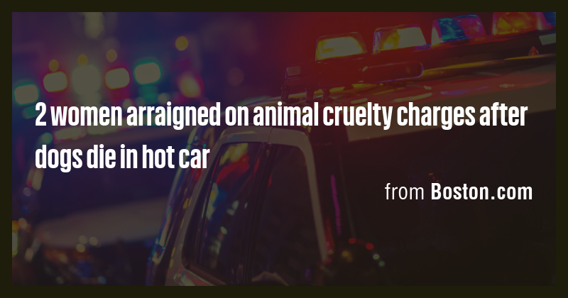 2 women arraigned on animal cruelty charges after dogs die in hot car ...
