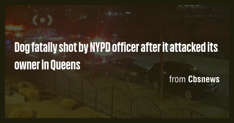 Dog fatally shot by NYPD officer after it attacked its owner in Queens ...
