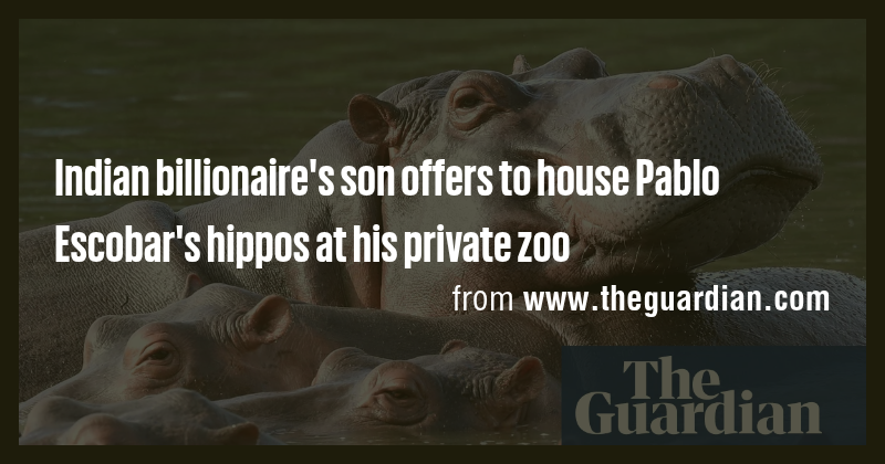 Indian billionaire's son offers to house Pablo Escobar's hippos at his ...