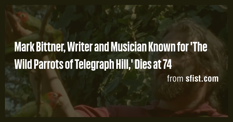 Mark Bittner, Writer and Musician Known for 'The Wild Parrots of ...