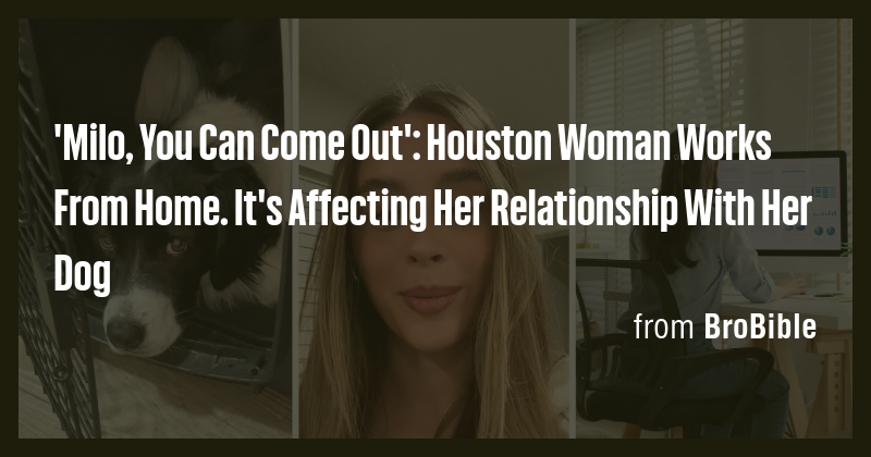 'Milo, You Can Come Out': Houston Woman Works From Home. It's Affecting ...