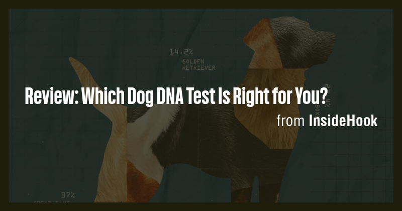 Review: Which Dog DNA Test Is Right for You? - Briefly