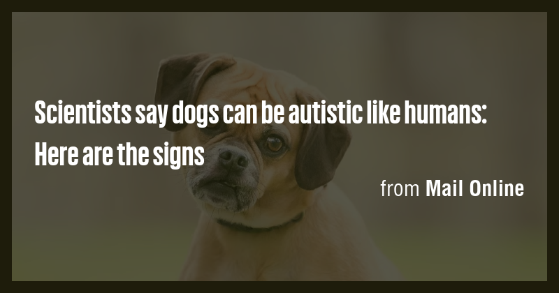 Scientists say dogs can be autistic like humans: Here are the signs ...