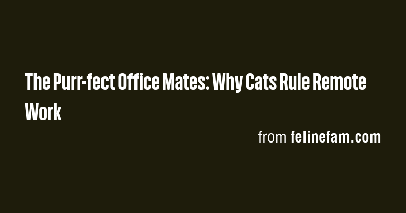 The Purr-fect Office Mates: Why Cats Rule Remote Work - Briefly