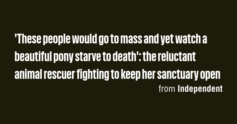 'These people would go to mass and yet watch a beautiful pony starve to ...