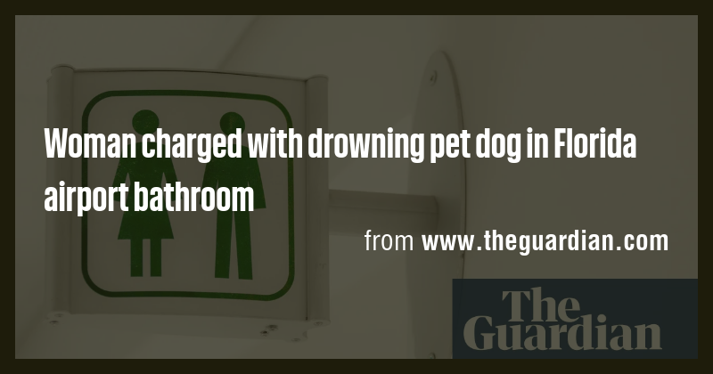 Woman charged with drowning pet dog in Florida airport bathroom - Briefly
