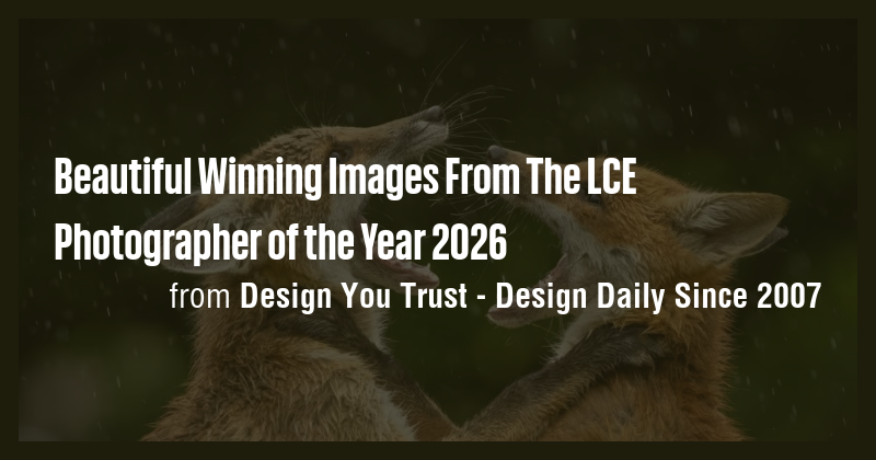 Beautiful Winning Images From The LCE Photographer of the Year 2026 ...