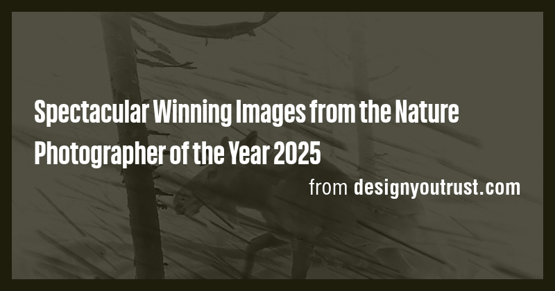 Spectacular Winning Images from the Nature Photographer of the Year ...