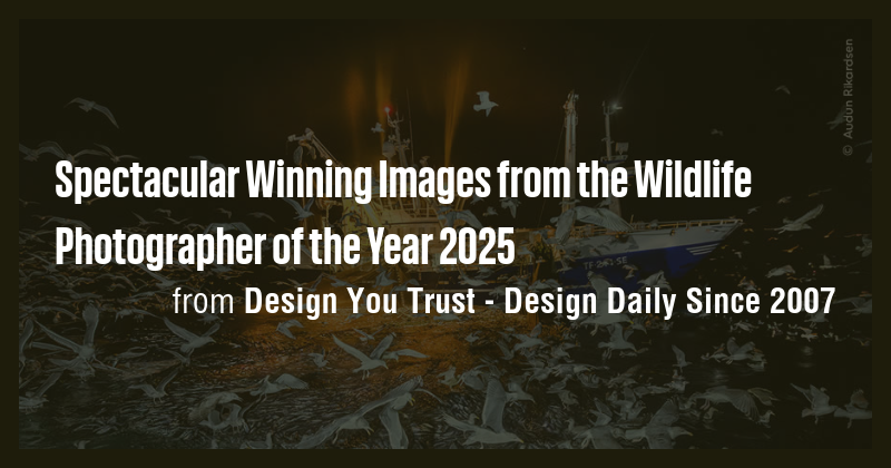 Spectacular Winning Images from the Wildlife Photographer of the Year ...