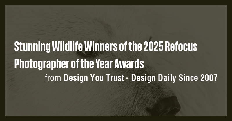 Stunning Wildlife Winners of the 2025 Refocus Photographer of the Year ...
