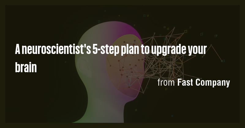 A neuroscientist's 5-step plan to upgrade your brain - Briefly