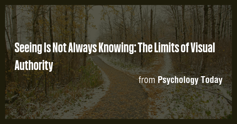 Seeing Is Not Always Knowing: The Limits of Visual Authority - Briefly