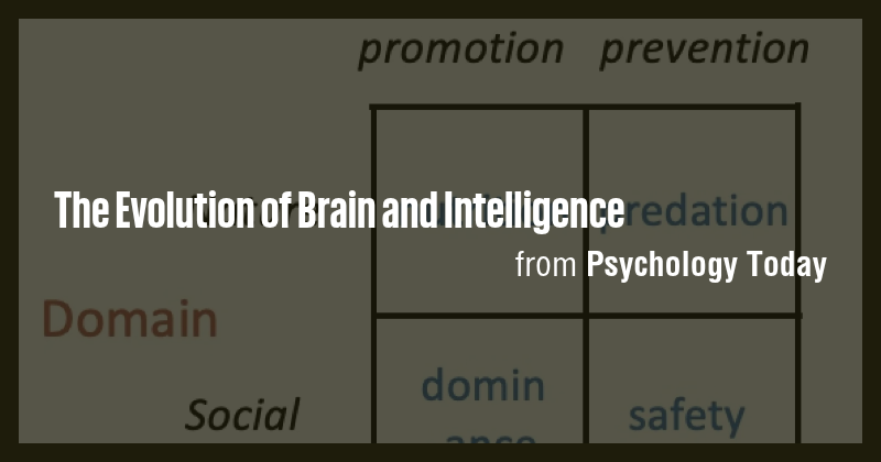 The Evolution of Brain and Intelligence - Briefly