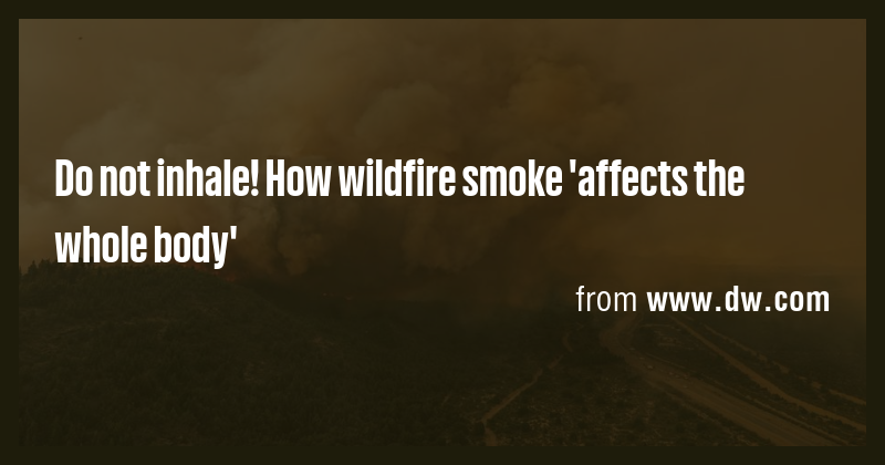 Do not inhale! How wildfire smoke 'affects the whole body' - Briefly
