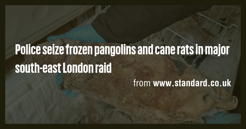 Police seize frozen pangolins and cane rats in major south-east London ...