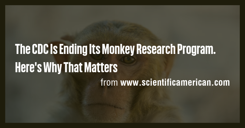 The CDC Is Ending Its Monkey Research Program. Here's Why That Matters ...