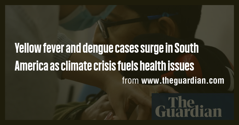 Yellow fever and dengue cases surge in South America as climate crisis ...