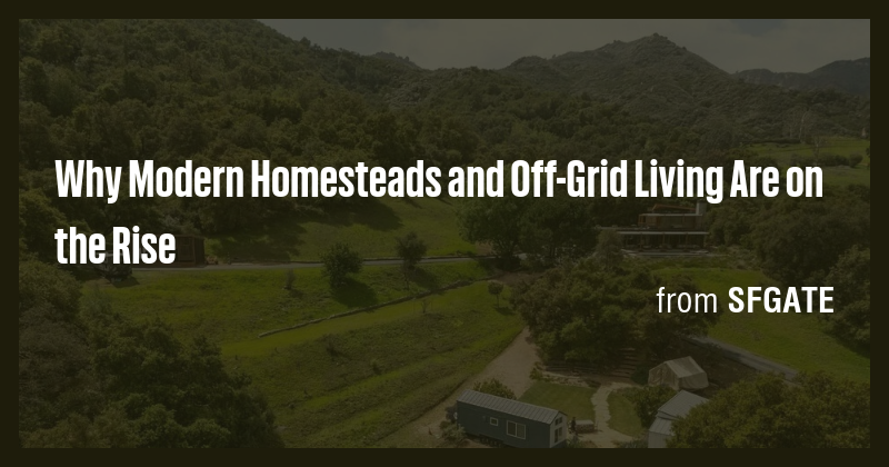 Why Modern Homesteads and Off-Grid Living Are on the Rise - Briefly