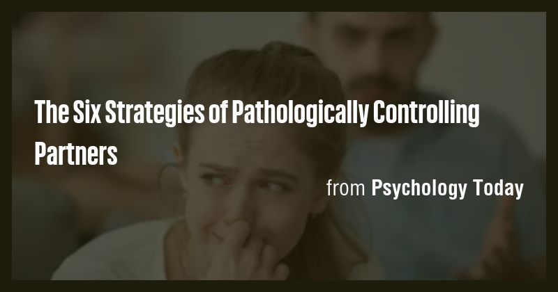 The Six Strategies of Pathologically Controlling Partners - Briefly