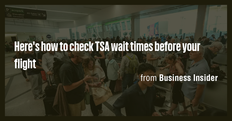 Here's how to check TSA wait times before your flight - Briefly