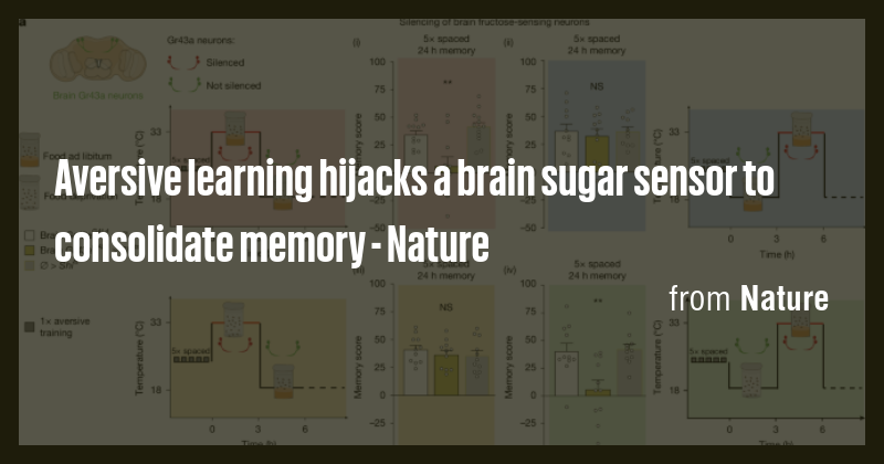 Aversive learning hijacks a brain sugar sensor to consolidate memory ...