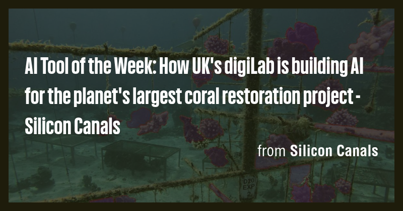 AI Tool of the Week: How UK's digiLab is building AI for the planet's ...