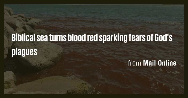 Biblical sea turns blood red sparking fears of God's plagues - Briefly