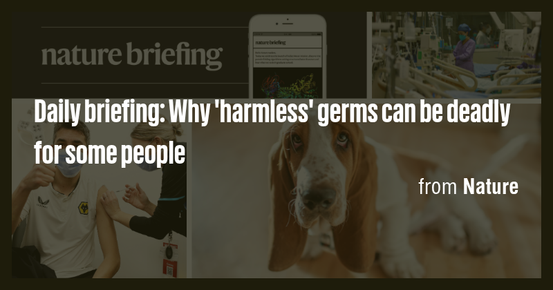 Daily briefing: Why 'harmless' germs can be deadly for some people ...
