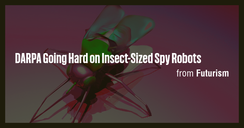 DARPA Going Hard on Insect-Sized Spy Robots - Briefly
