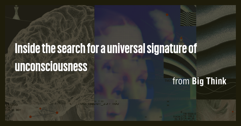 Inside the search for a universal signature of unconsciousness - Briefly
