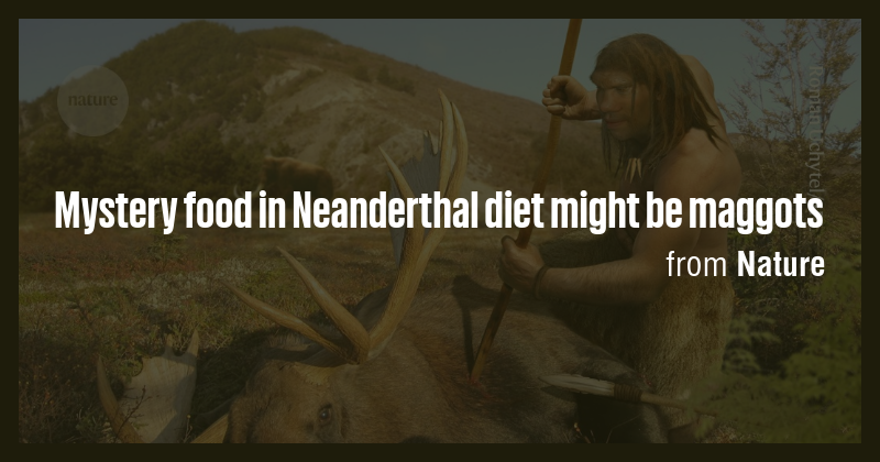 Mystery food in Neanderthal diet might be maggots - Briefly